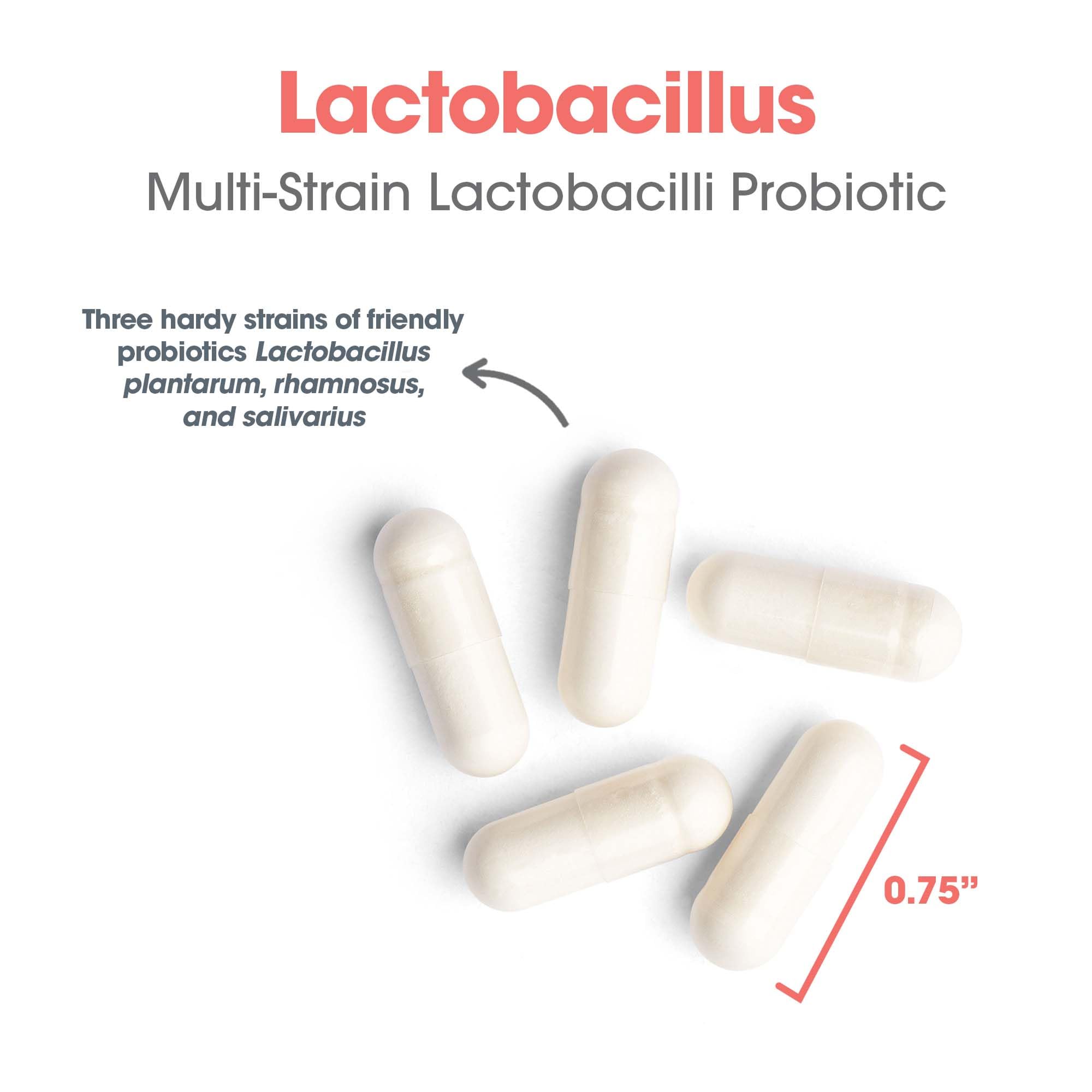 Allergy Research Group Lactobillus: uso diario para apoyo digestivo
