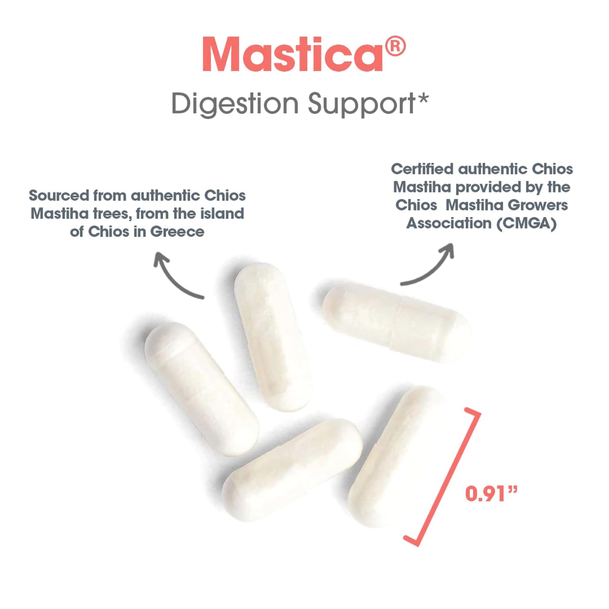 Allergy Research Group Mastica envase de 240 cápsulas para conveniencia diaria