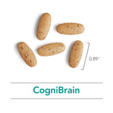 Nutricology Cognibrain dosis diaria destacada para la rutina matutina.