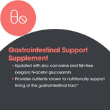 Enfoque en salud intestinal y absorción de nutrientes