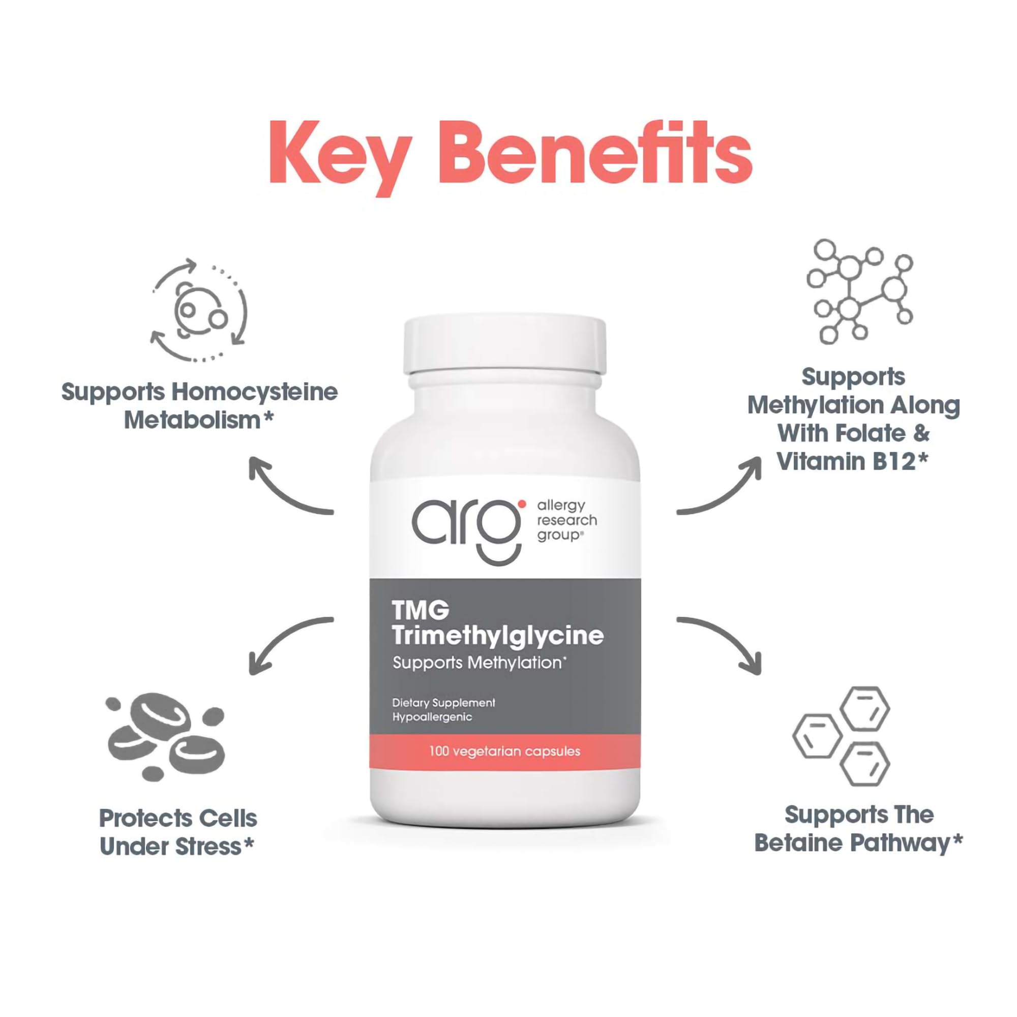 Allergy Research Group TMG – soporte de metilación para procesos corporales