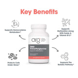 Allergy Research Group TMG – soporte de metilación para procesos corporales