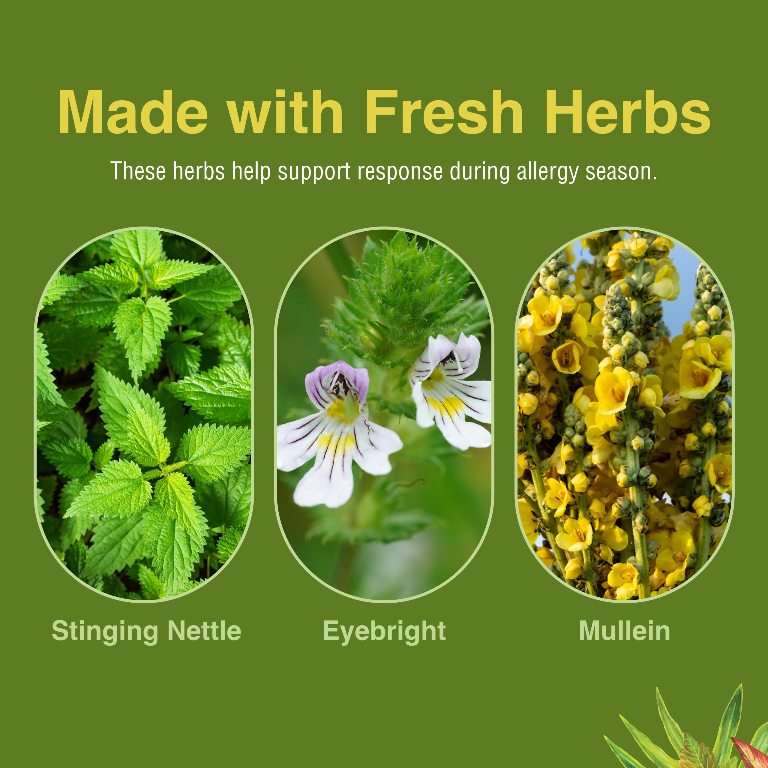 Herbs Etc. Allertonic, cápsulas blandas en primer plano con etiqueta