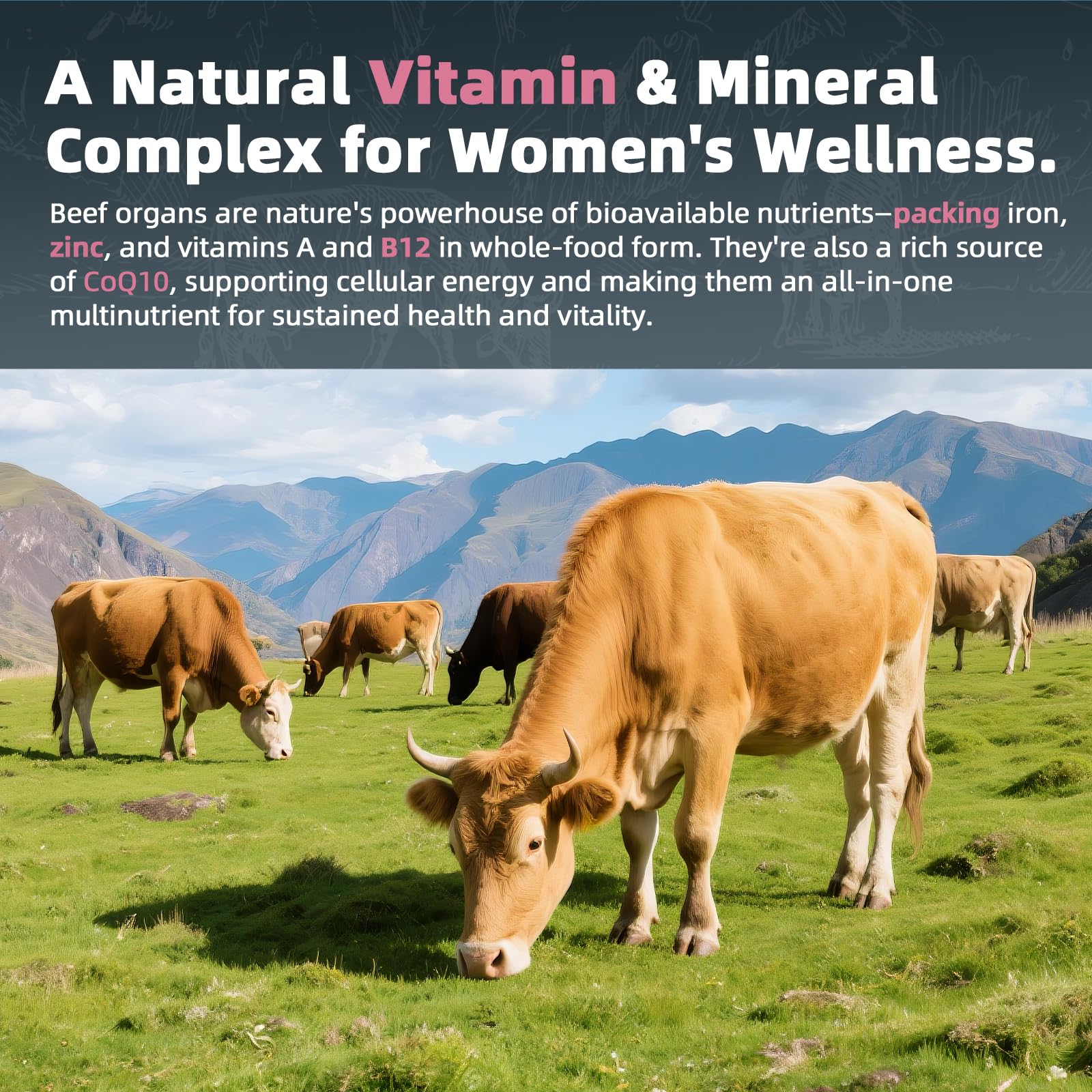 Alliwise: proceso de liofilización que conserva nutrientes