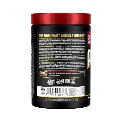 Cucharita de AminoCore mostrando la proporción BCAA para entrenamiento.