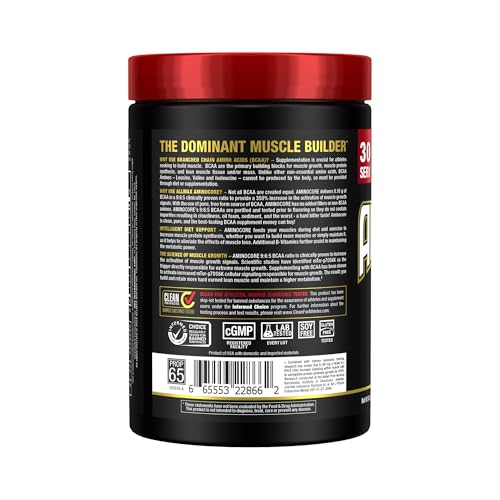 ALLMAX AMINOCORE con cuchara de dosis para toma rápida