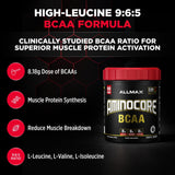 ALLMAX AminoCore, vitaminas del grupo B para energía diaria.