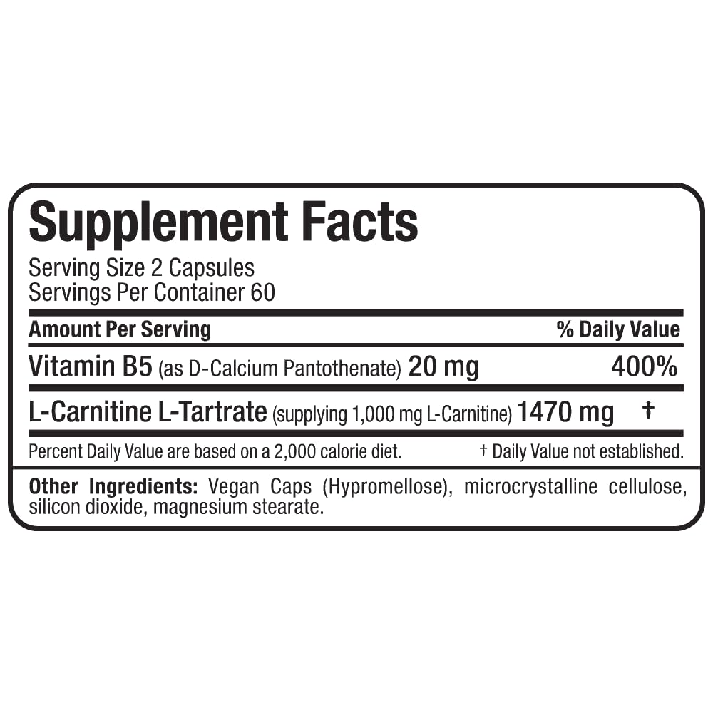 ALLMAX Essentials L-CARNITINE Tartrato estuche junto a equipo de entrenamiento para estilo de vida activo