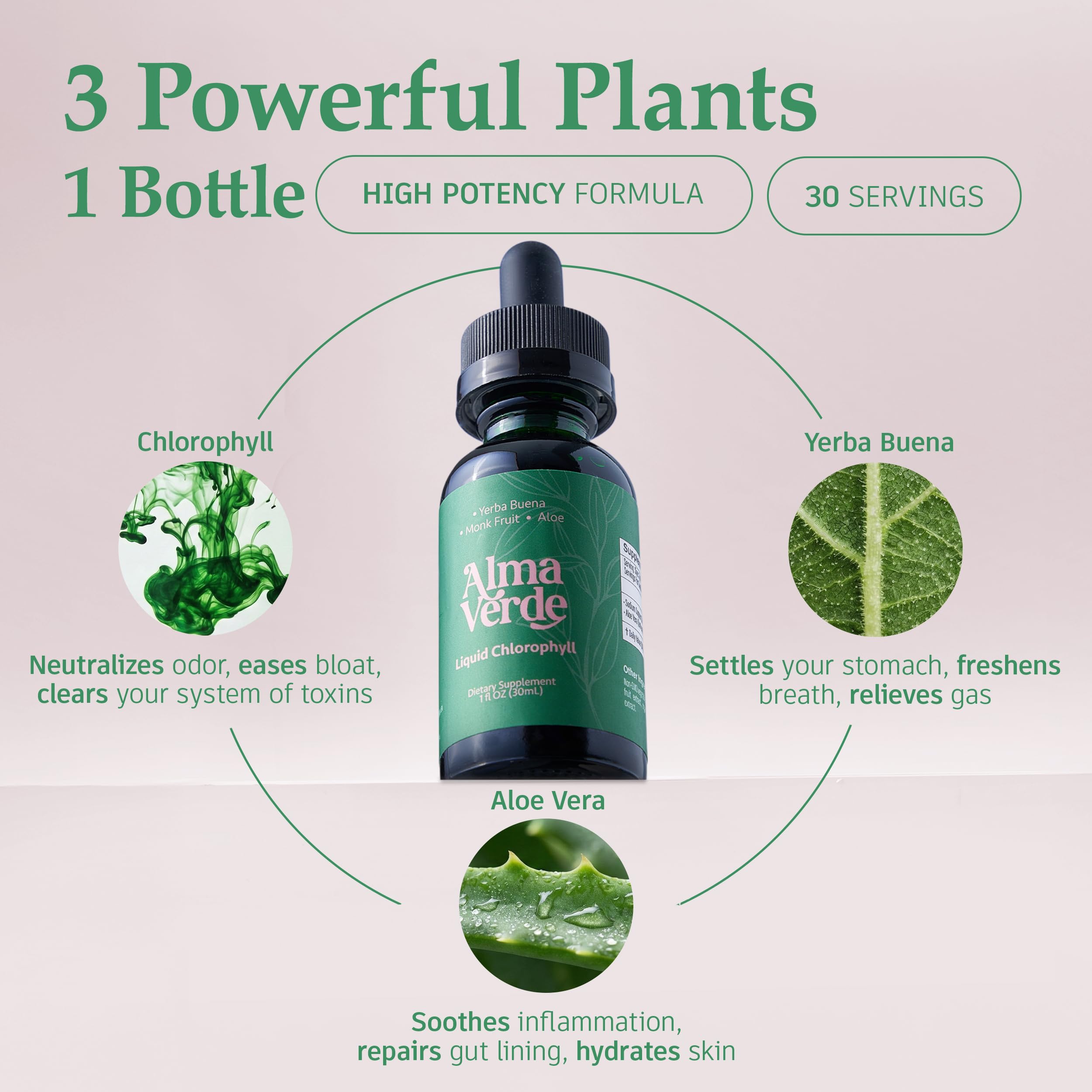 Alma Verde Gotas de Clorofila, ingredientes aloe vera y yerba buena para bienestar