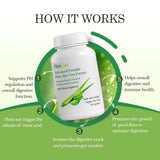 AloeCure acemannan alto para apoyo digestivo e inmunitario.