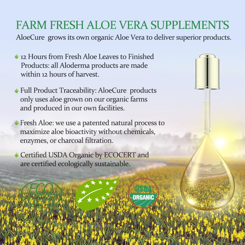 AloeCure Finca orgánica de aloe: cultivo sostenible y certificado.