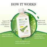 AloeCure jugo aloe limón proceso cosecha: frescura preservada en 12 horas.