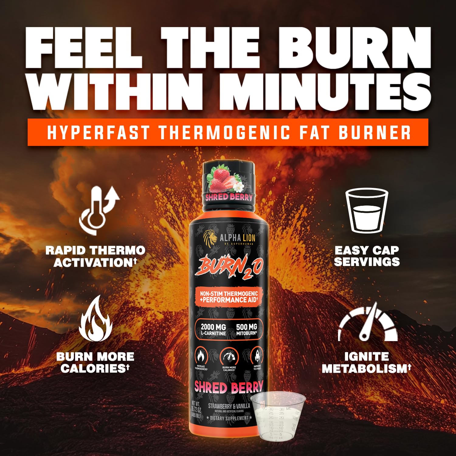 ALPHA LION Burn2O grapezilla-shot for caffeine-free pre-workout energy.