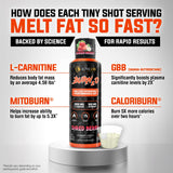 ALPHA LION Burn2O scorchberry-shot delivers flavorful, sugar-free energy.