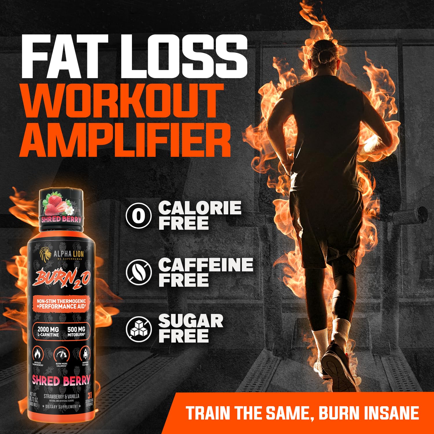 ALPHA LION Burn2O shredberry-shot supports steady metabolism during workouts.