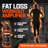 ALPHA LION Burn2O shredberry-shot supports steady metabolism during workouts.