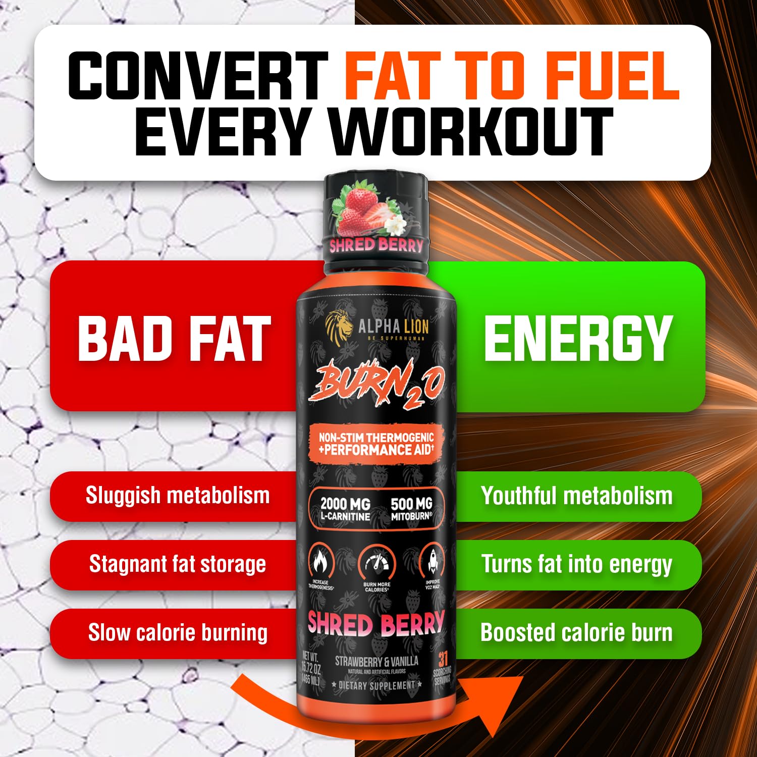 ALPHA LION Burn2O zero-calorie design supports fasting-friendly use.