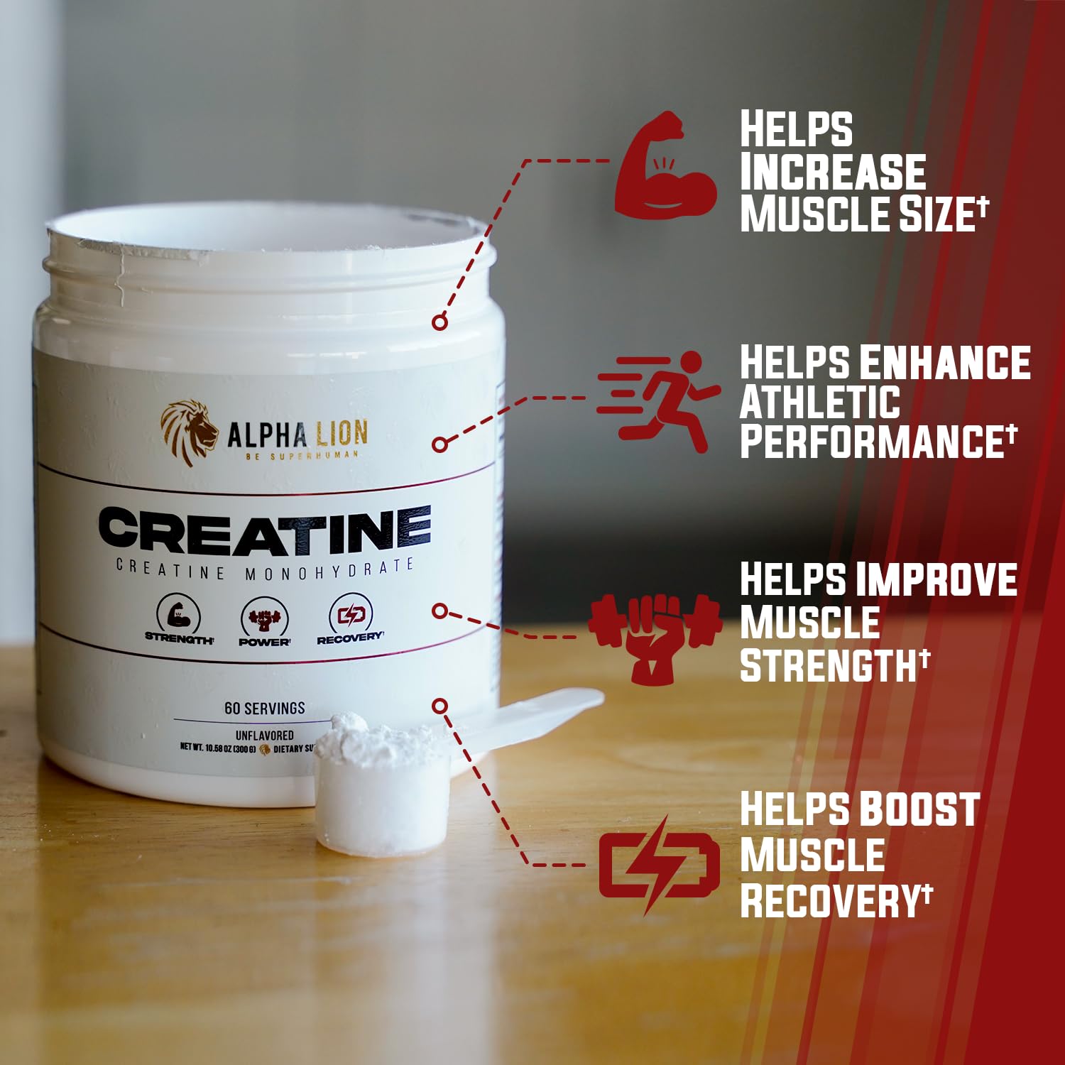 ALPHA LION Creatine Monohydrate sin sabor, fácil de mezclar en batidos