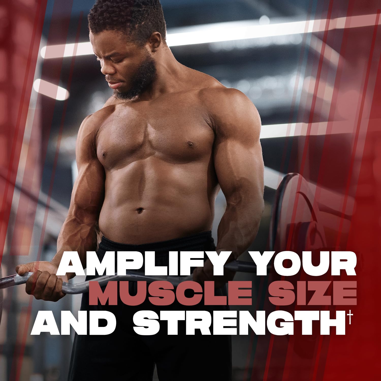 ALPHA LION Creatine Monohydrate en batido post-entrenamiento, apoyo al rendimiento