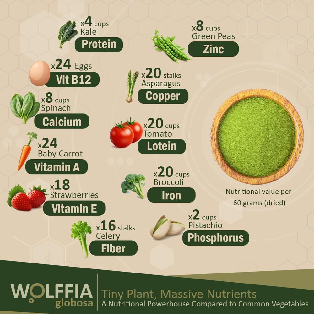 Wolffia AMA GROW en cultivo controlado, opción sostenible y limpia.