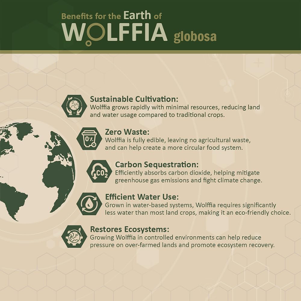 Wolffia seca AMA GROW en mesa, complemento nutritivo diario.