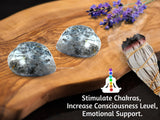 Amazing Gemstone Opalo Dendrita para rejillas de cristales en meditaciones
