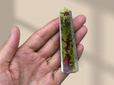 Amazing Gemstone purificador de aire Dragon Bloodstone, mejora del ambiente.