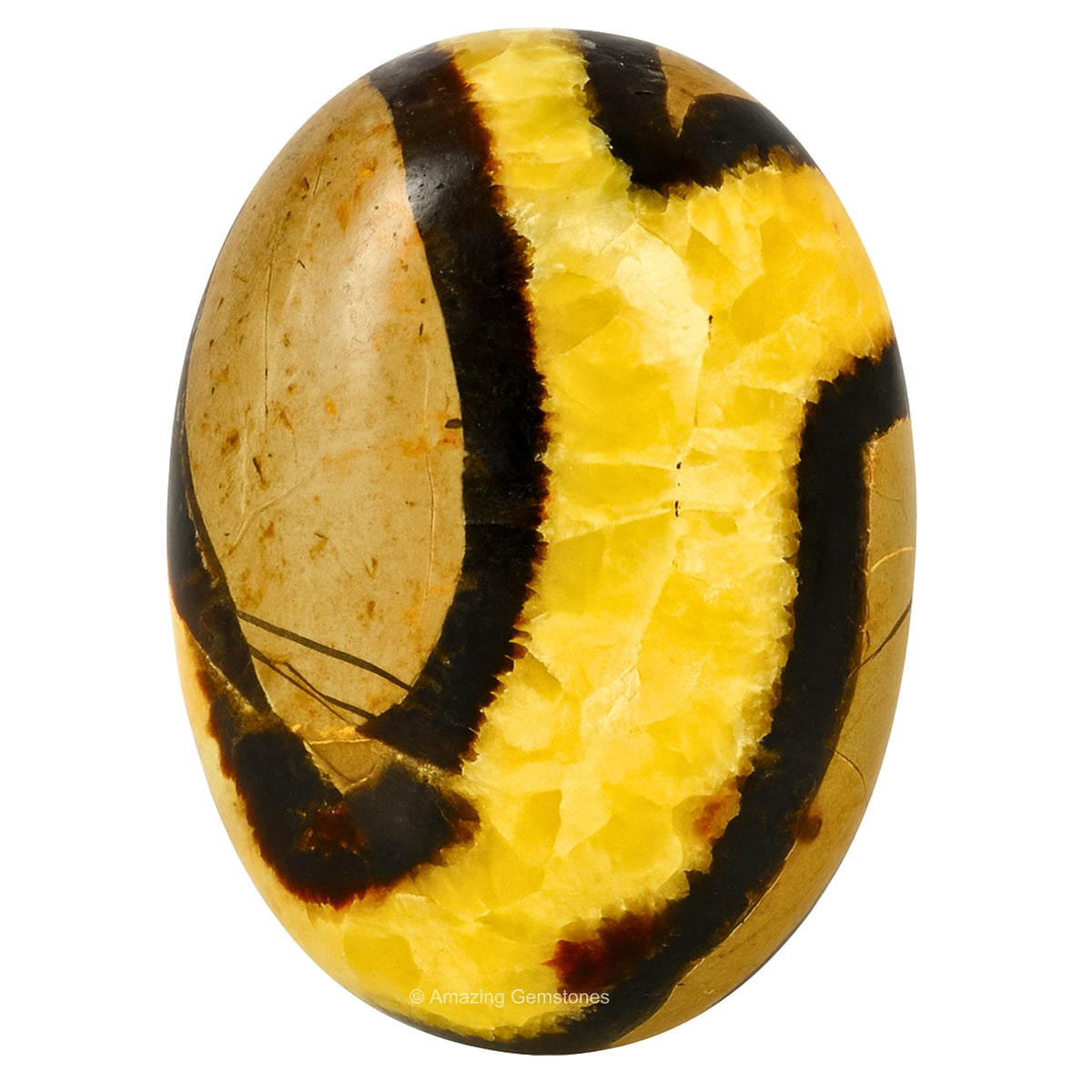 Amazing Gemstone septarian-piedra palma grande para meditaciones y equilibrio emocional.