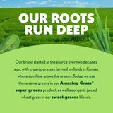 Amazing Grass Greens Superfood ingredientes alcalinos para equilibrio diario
