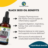 Planta Nigella Sativa de Amazing Herbs para cocina natural.