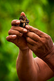 Proceso de prensado en frío: aceite virgen de Sacha Inchi puro de Amazon Andes