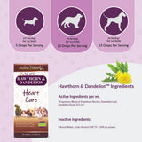 Amber NaturalZ hojas y raíz diente de león, hierbas naturales para uso diario.