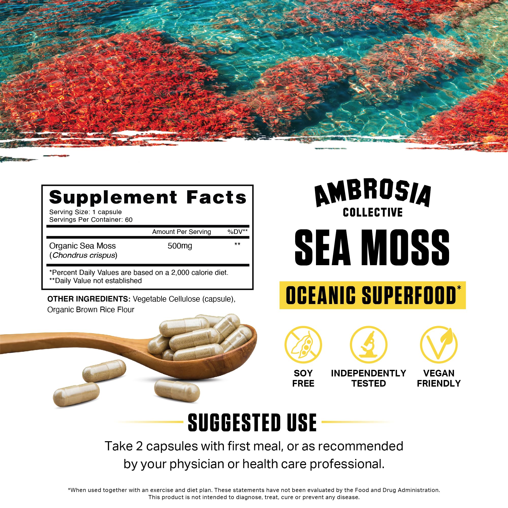 Envase Ambrosia de cápsulas con musgo de mar irlandés, fácil de incorporar a la rutina.