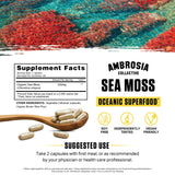 Envase Ambrosia de cápsulas con musgo de mar irlandés, fácil de incorporar a la rutina.