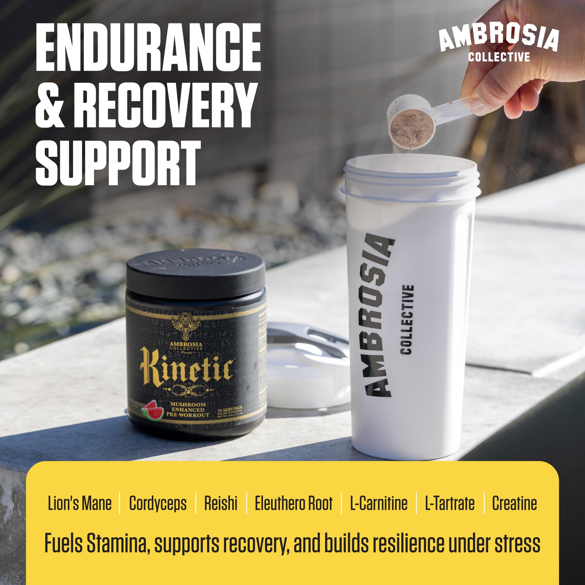 Ambrosia Kinetic con hongo melena de león para enfoque mental durante el entrenamiento.