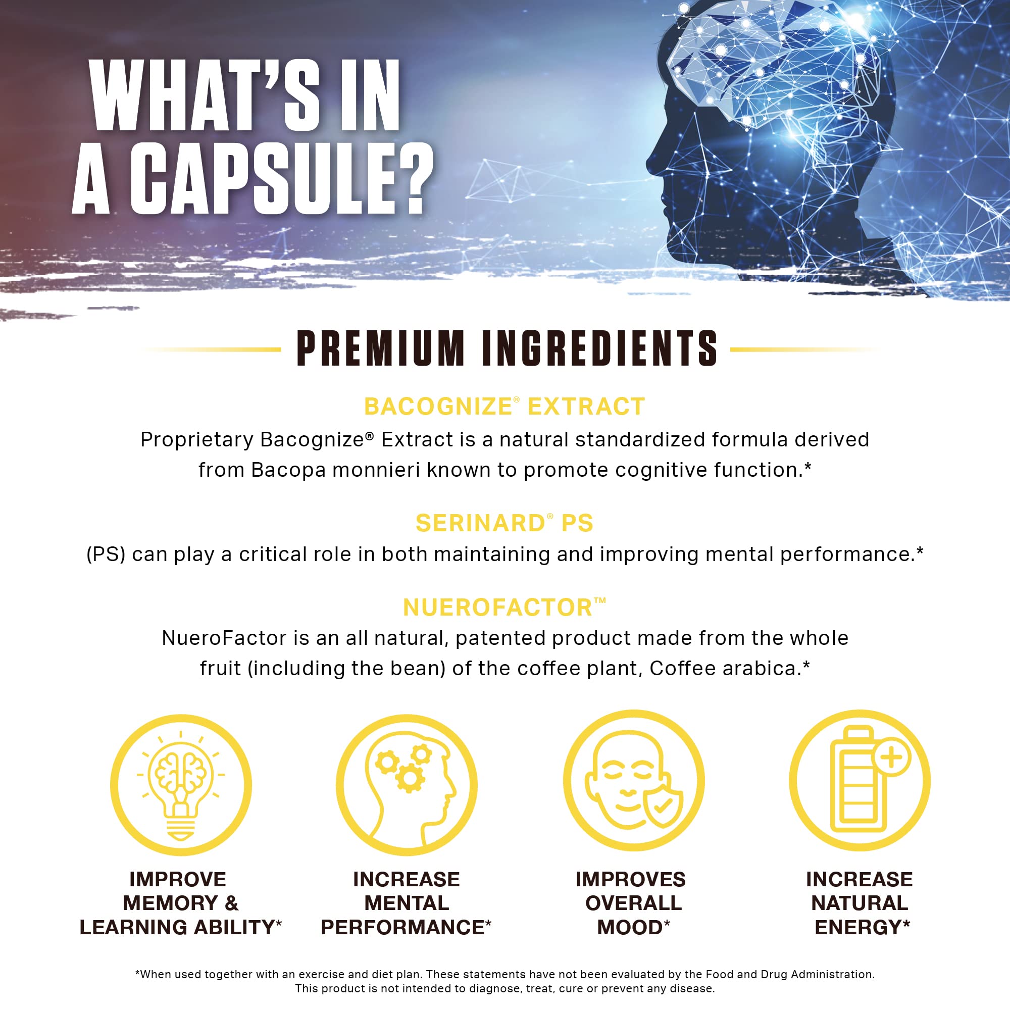Ambrosia Mental Jewels Alpha GPC destaca el apoyo cognitivo