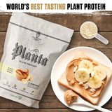 Recipiente agitador Ambrosia Planta para batidos rápidos y cremosos.