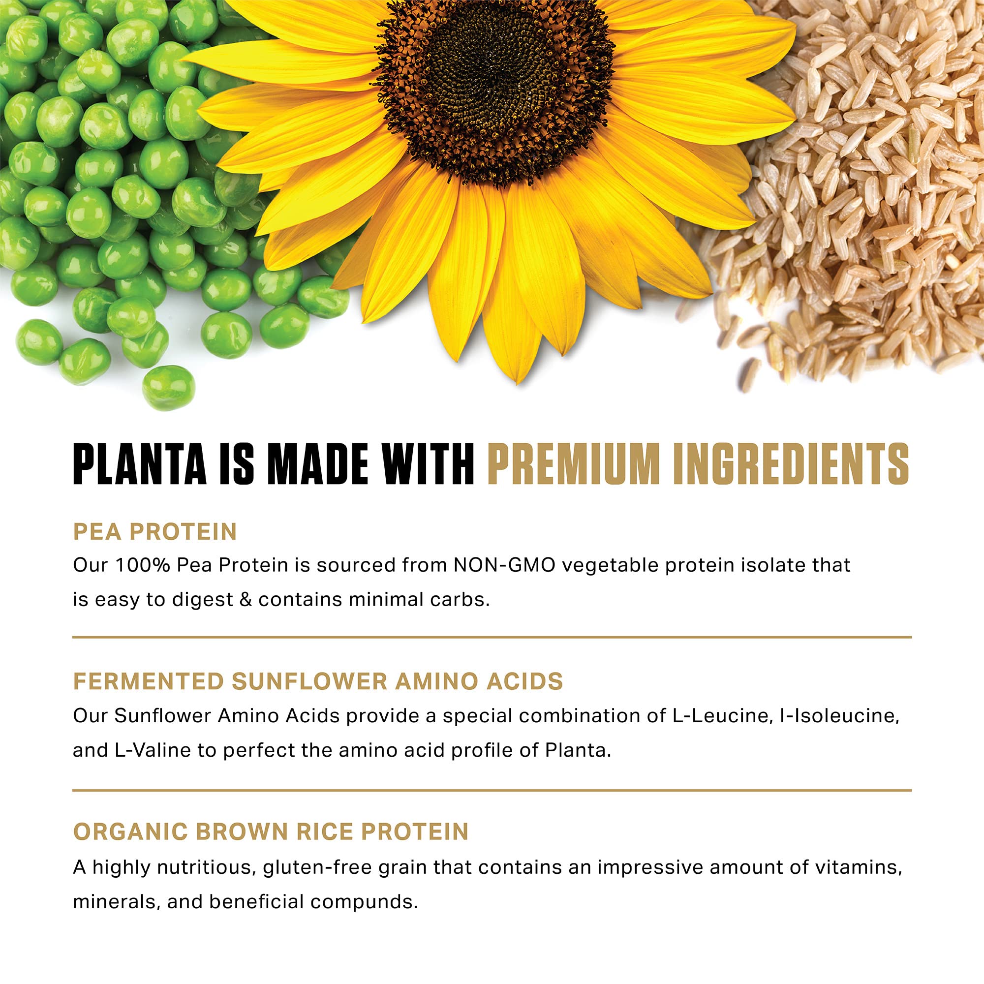 Ambrosia Planta etiqueta certificada BSCG garantiza calidad y ausencia de colorantes.