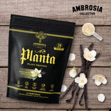 Ambrosia Planta sabores gourmet: mezcla agradable para bebidas y recetas variadas.