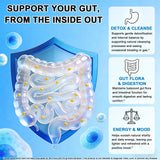 Uso diario AMENQ hHEALTH para apoyar la digestión y el equilibrio intestinal.