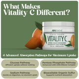 Vitamina C en polvo de American Nutriceuticals se disuelve fácilmente en agua.