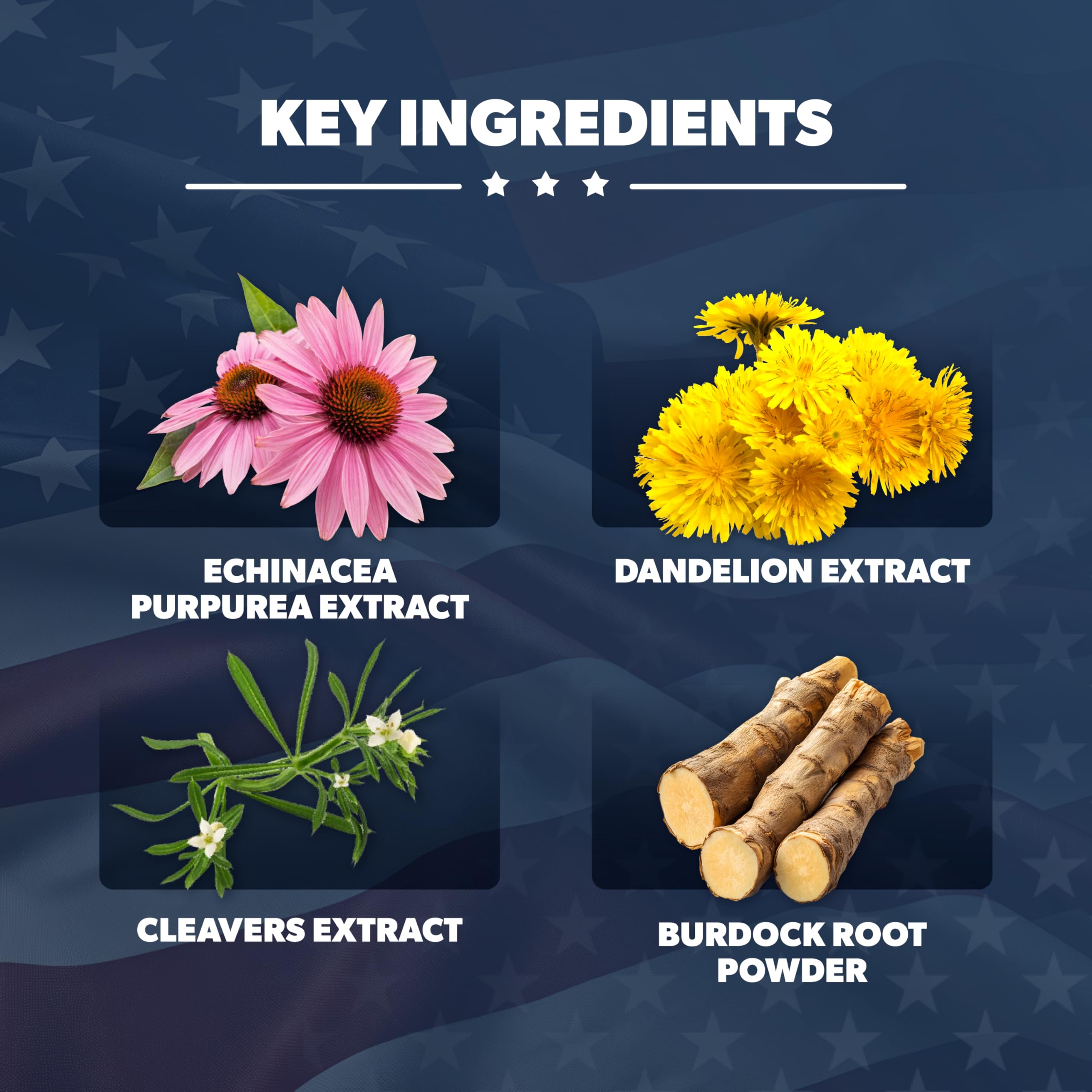 AMERICAN VITALITY etiqueta de cápsulas con información de ingredientes