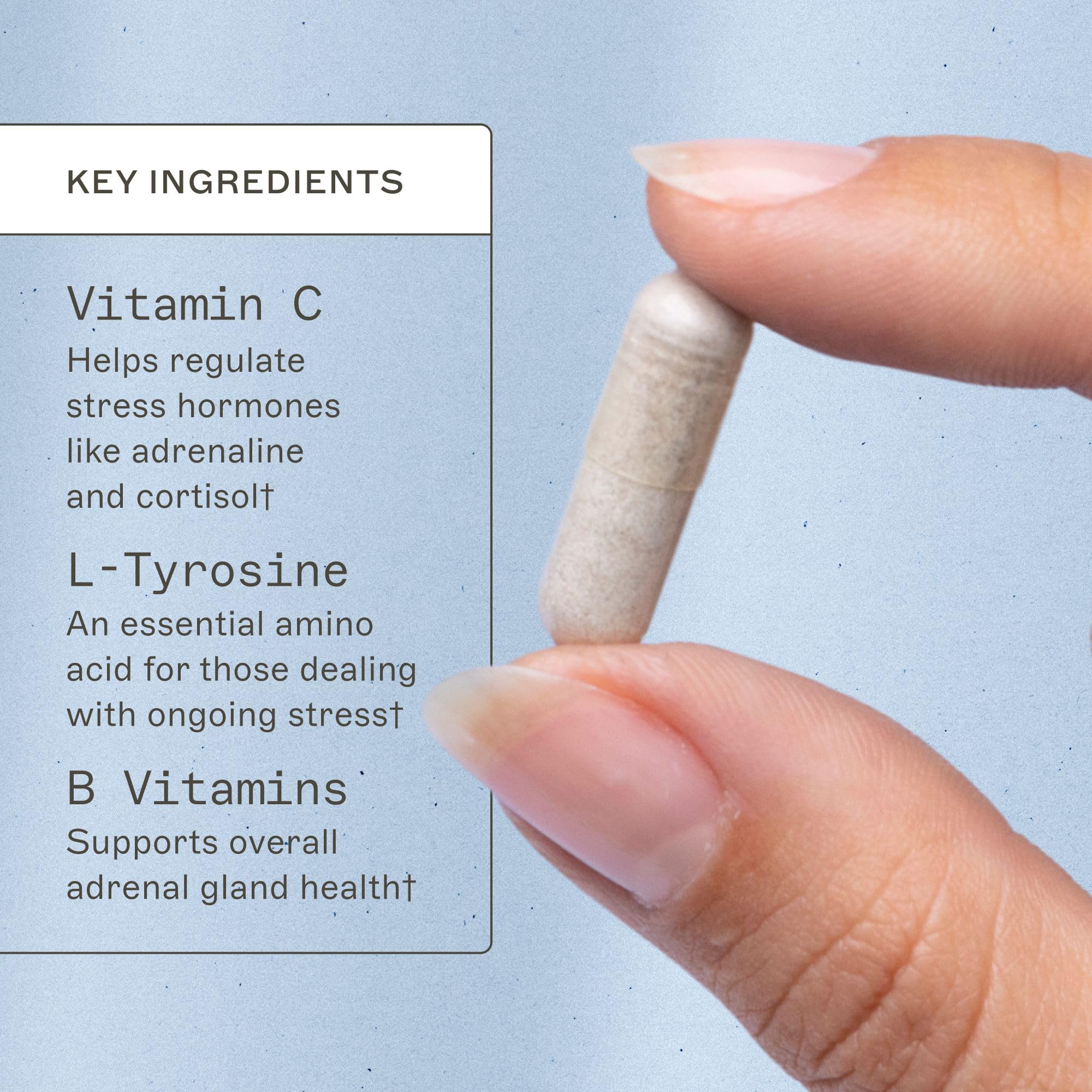 Cápsulas de Amy Myers MD Acid Restore para consumo diario