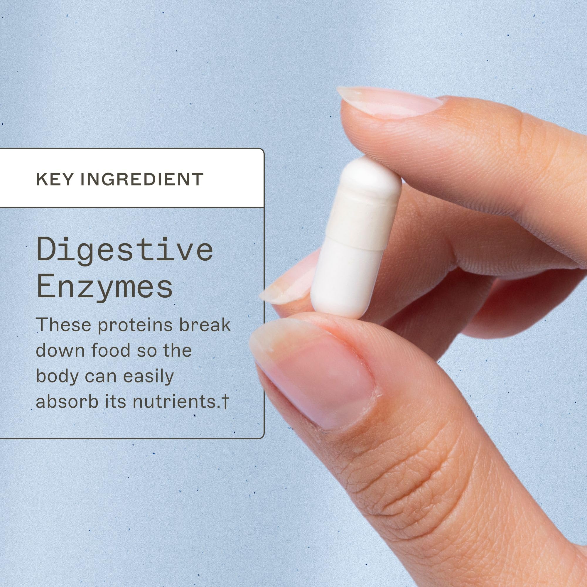 Cápsulas diarias de Candifense listas para incorporar en la rutina de cada día.