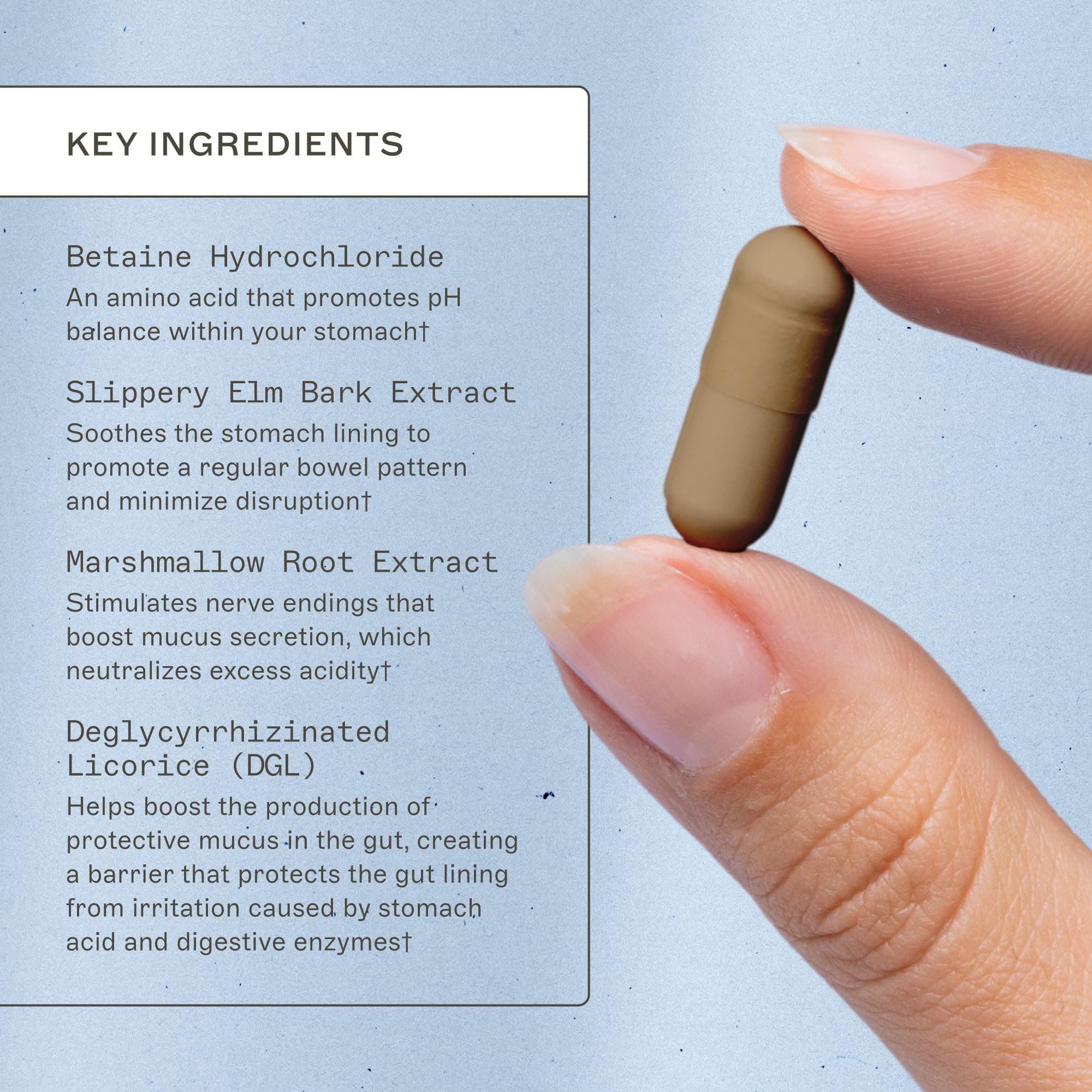 Etiqueta del producto Amy Myers MD Adrenal Support con ingredientes clave