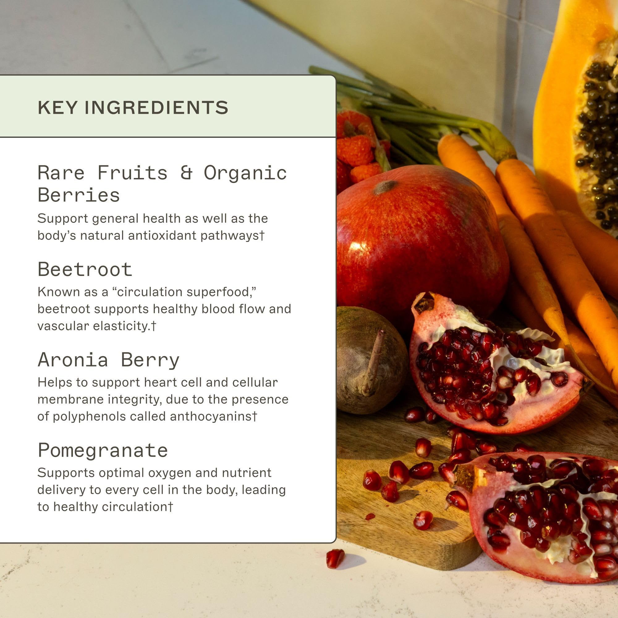 Mezcla de ingredientes de Amy Myers MD, fuente de nutrientes para energía sostenida.