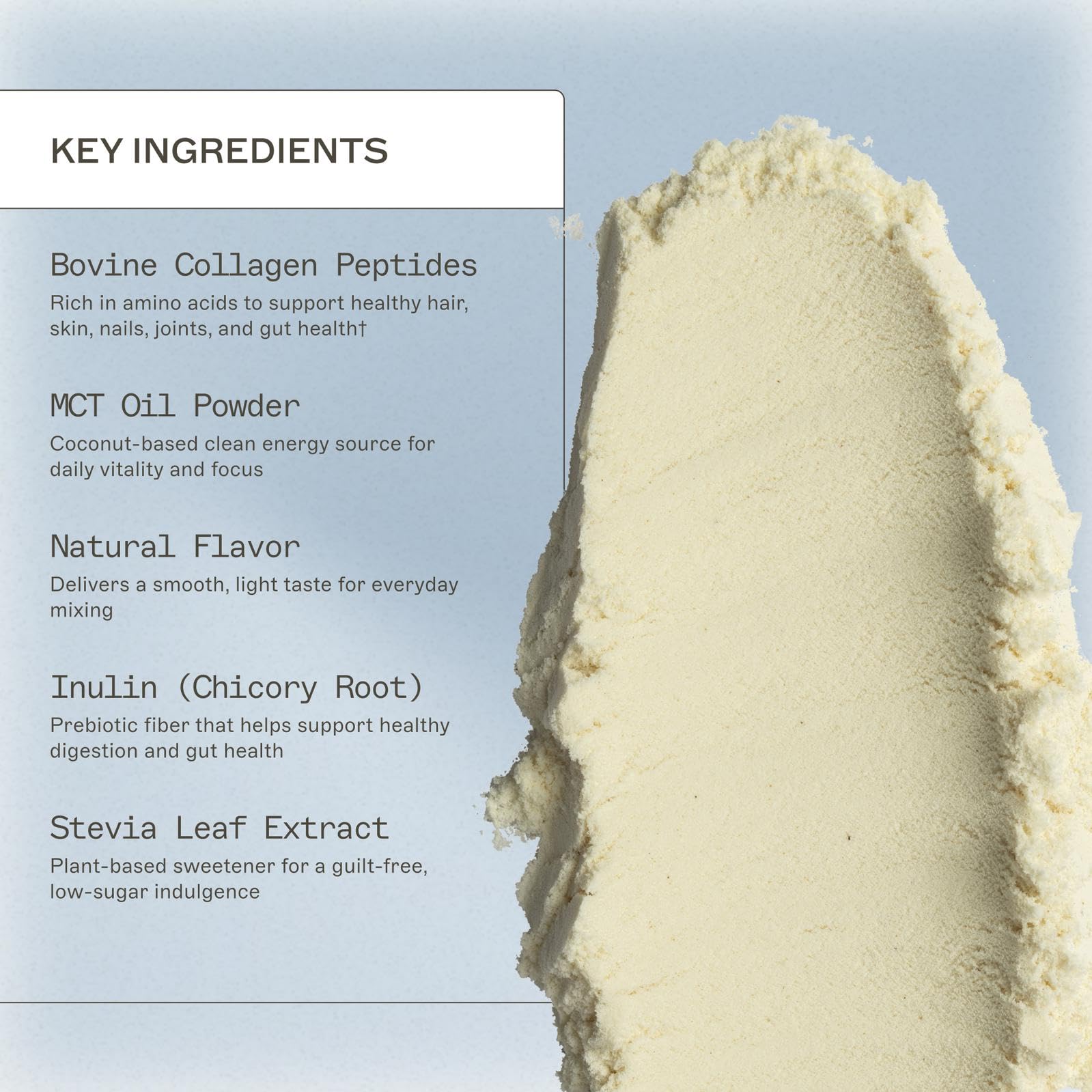 Amy Myers MD Paleo Protein Powder con 21 g de proteína por porción