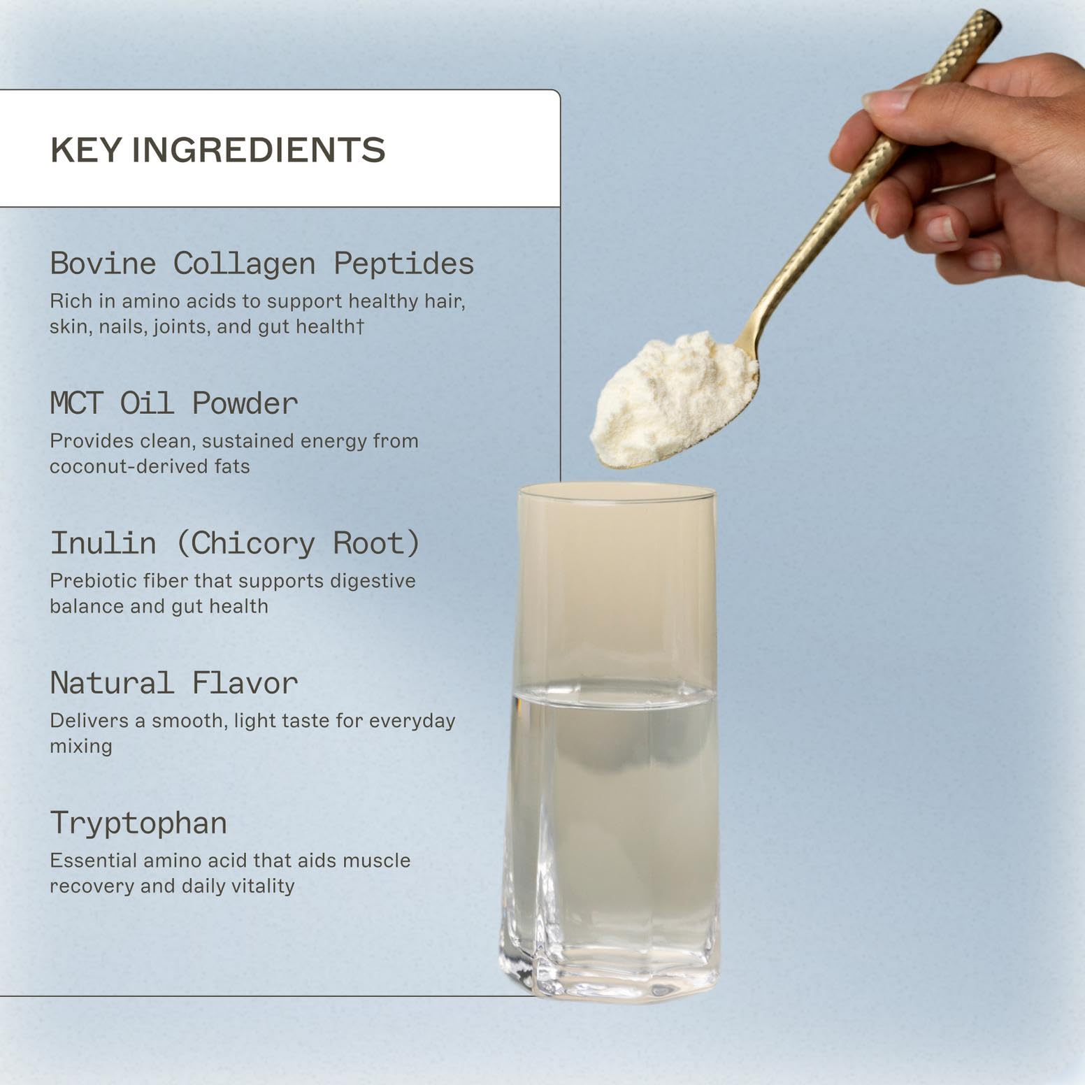Polvo de colágeno de Amy Myers MD Paleo Protein, foco en colágeno.
