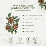 Cucharada de ANCESTRAL ORGANICS Sacha Inchi para batido nutritivo