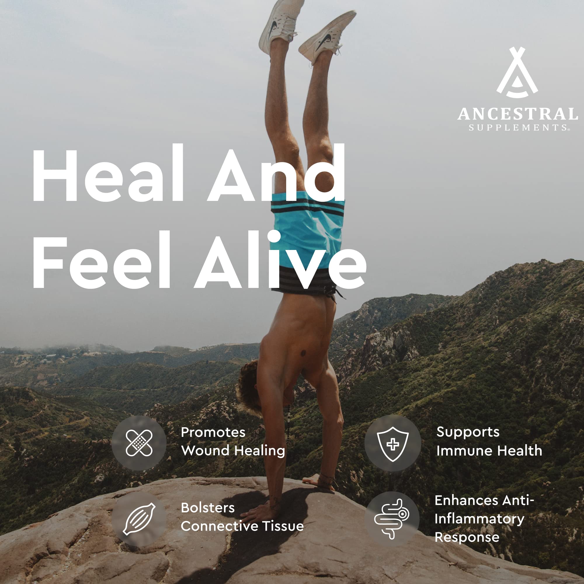 Ancestral Supplements: hígado de vacuno, nutrición de órganos para bienestar.